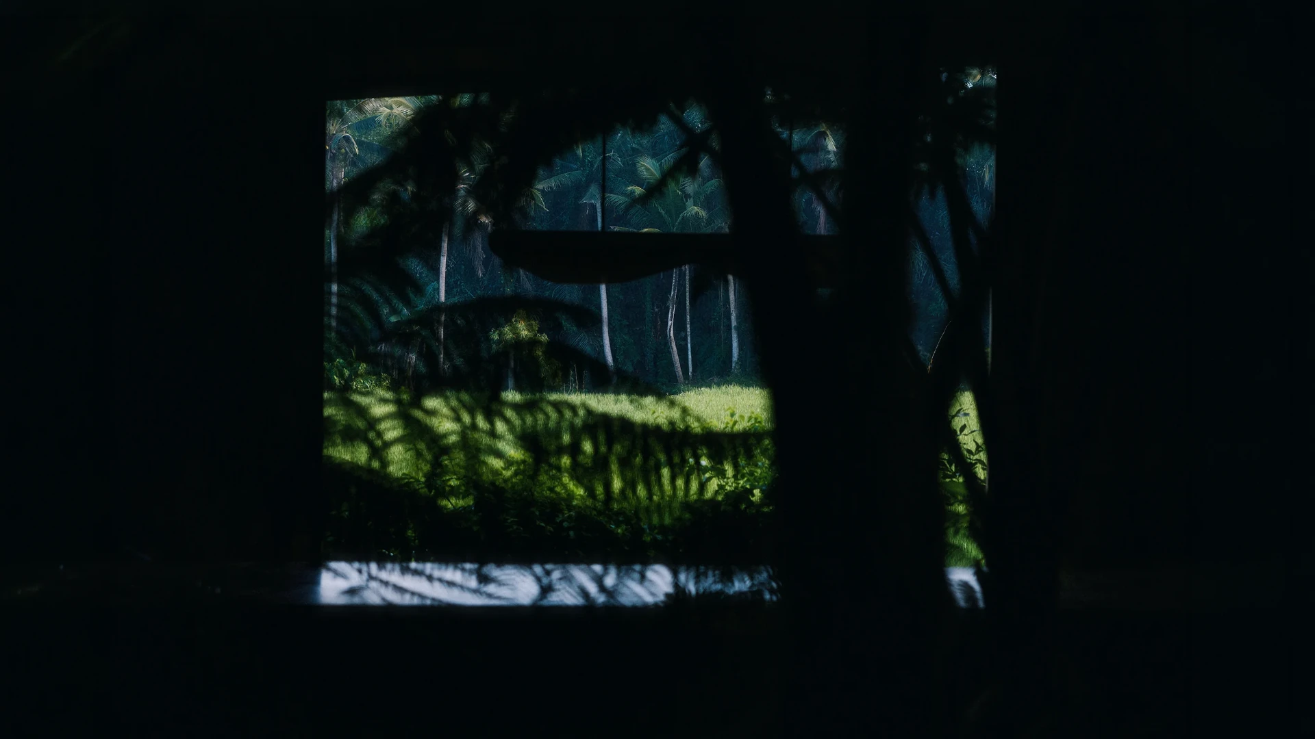 Rice fields and palms seen through a dark window frame at Kubu Taru